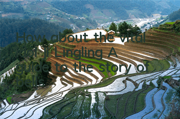 How about the vital idol Ji Lingling? A guide to the story of bells