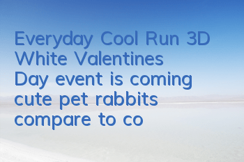 Everyday Cool Run 3D White Valentine's Day event is coming, cute pet rabbits compare to companionship