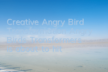 Creative Angry Bird Transformation 
