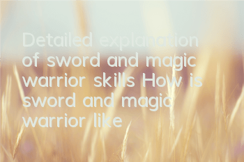 Detailed explanation of sword and magic warrior skills How is sword and magic warrior like
