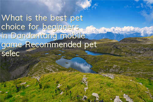 What is the best pet choice for beginners in Dandantang mobile game? Recommended pet selection in the early stage