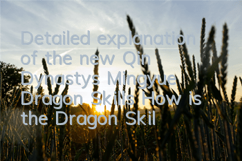 Detailed explanation of the new Qin Dynasty's Mingyue Dragon Skills How is the Dragon Skills