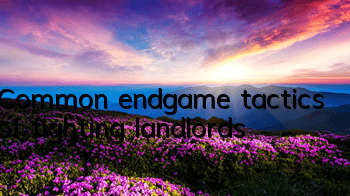 Common endgame tactics of fighting landlords