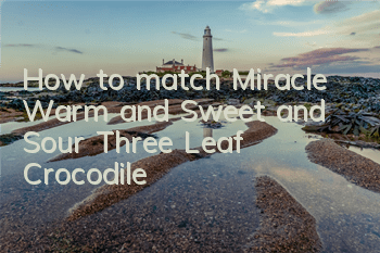How to match Miracle Warm and Sweet and Sour Three Leaf Crocodile