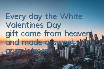 Every day, the White Valentine's Day gift came from heaven and made a sweet appointment with her beloved