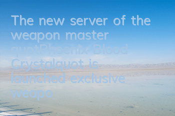 The new server of the weapon master 