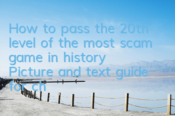 How to pass the 20th level of the most scam game in history? Picture and text guide for cheating the guards