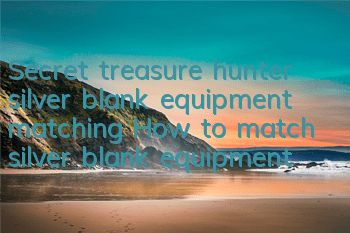 Secret treasure hunter silver blank equipment matching How to match silver blank equipment