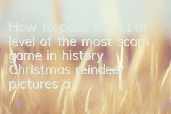 How to pass the 11th level of the most scam game in history? Christmas reindeer pictures and text guide