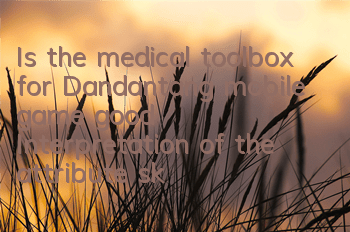 Is the medical toolbox for Dandantang mobile game good? Interpretation of the attribute skills of medical toolbox