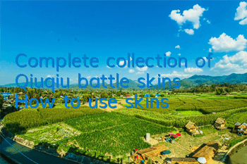 Complete collection of Qiuqiu battle skins How to use skins