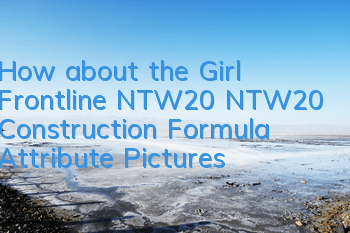 How about the Girl Frontline NTW20? NTW20 Construction Formula Attribute Pictures