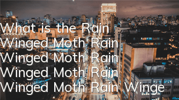 What is the Rain Winged Moth Rain Winged Moth Rain Winged Moth Rain Winged Moth Rain Winged Moth Rain Winged Moth Rain Winged