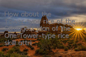 How about the Tower-type rice of the Strongest Man of the One? Tower-type rice skill attribute diagram
