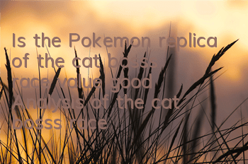 Is the Pokemon replica of the cat boss's race value good? Analysis of the cat boss's race value