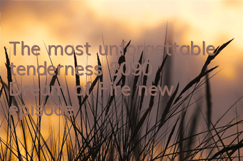 The most unforgettable tenderness 8090 
