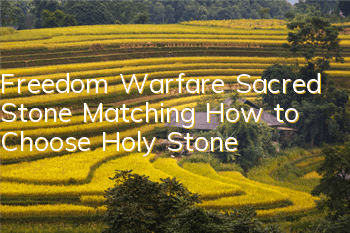 Freedom Warfare Sacred Stone Matching How to Choose Holy Stone