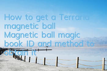 How to get a Terraria magnetic ball? Magnetic ball magic book ID and method to obtain it