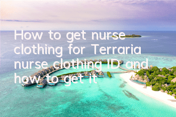How to get nurse clothing for Terraria, nurse clothing ID and how to get it