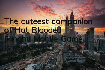 The cuteest companion of 
