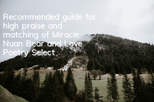 Recommended guide for high praise and matching of Miracle Nuan Bear and Love Poetry Selection Competition