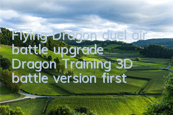 Flying Dragon duel air battle upgrade 