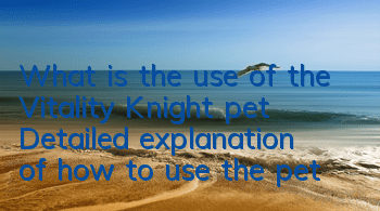 What is the use of the Vitality Knight pet? Detailed explanation of how to use the pet