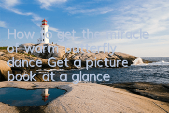 How to get the miracle of warm butterfly dance? Get a picture book at a glance