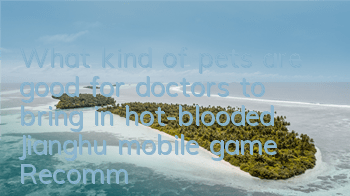 What kind of pets are good for doctors to bring in hot-blooded Jianghu mobile game? Recommended doctors’ pets