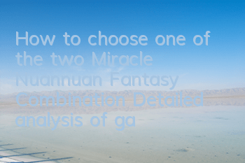 How to choose one of the two Miracle Nuannuan Fantasy Combination? Detailed analysis of gameplay