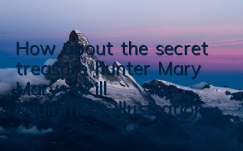 How about the secret treasure hunter Mary? Mary's skill equipment illustration