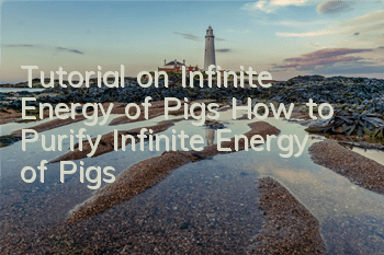 Tutorial on Infinite Energy of Pigs How to Purify Infinite Energy of Pigs