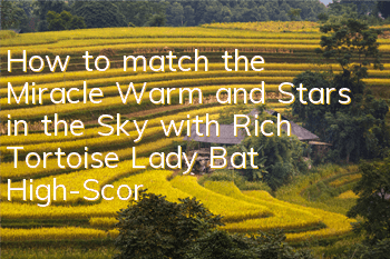 How to match the Miracle Warm and Stars in the Sky with Rich Tortoise, Lady Bat? High-Score Top-Level Match