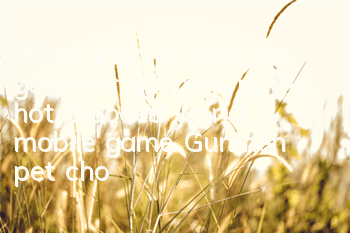 What kind of pets are good for gunmen in the hot-blooded world mobile game? Gunmen pet choice