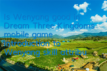 Is Wenyang good in Dream Three Kingdoms mobile game? Introduction to Wenyang skill attributes