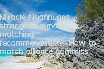 Miracle Nuannuan’s strange command matching recommendations How to match alliance commissions 2-5