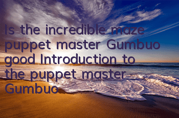 Is the incredible maze puppet master Gumbuo good? Introduction to the puppet master Gumbuo