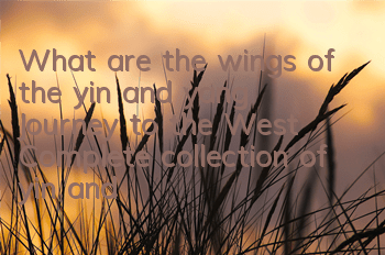 What are the wings of the yin and yang Journey to the West? Complete collection of yin and yang Journey to the West