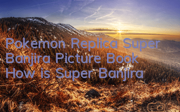 Pokemon Replica Super Banjira Picture Book How is Super Banjira