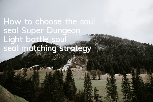 How to choose the soul seal 