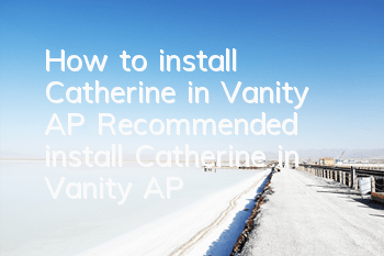 How to install Catherine in Vanity AP? Recommended install Catherine in Vanity AP