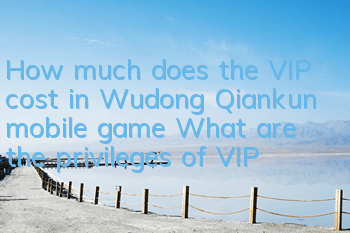 How much does the VIP cost in Wudong Qiankun mobile game? What are the privileges of VIP