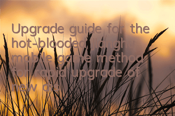 Upgrade guide for the hot-blooded Jianghu mobile game, method for rapid upgrade of new district