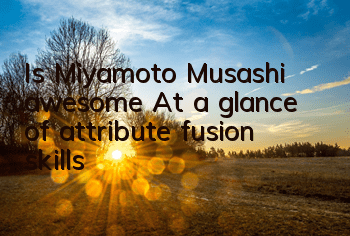 Is Miyamoto Musashi awesome? At a glance of attribute fusion skills