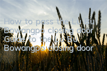 How to pass the Lu Bu Bowangpo closing door? Guide to the Lu Bu Bowangpo closing door