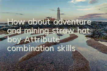 How about adventure and mining straw hat boy? Attribute combination skills
