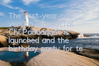 The first-year-old version of 