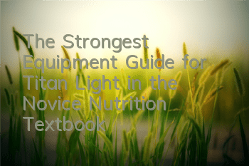 The Strongest Equipment Guide for 