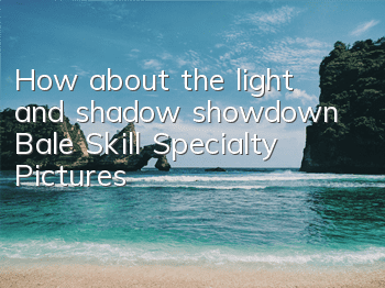 How about the light and shadow showdown? Bale Skill Specialty Pictures