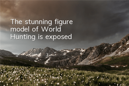 The stunning figure model of 